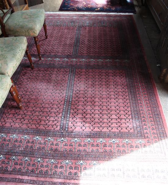 Pink ground carpet & blue ground rug